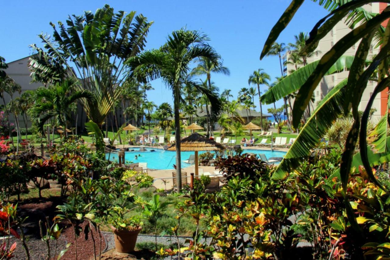 Villa Kaanapali Shores 647 Exterior foto